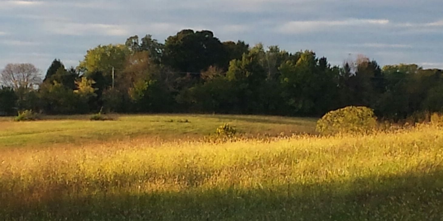 Chandra Emerson banner