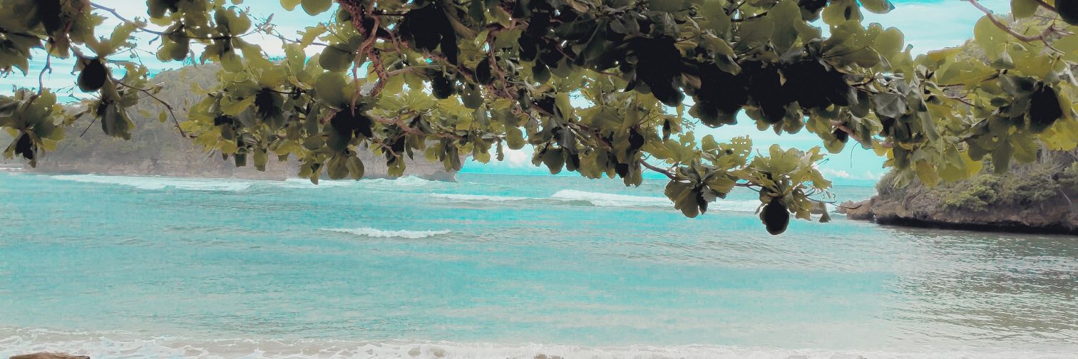 aurelliall's profile banner image
