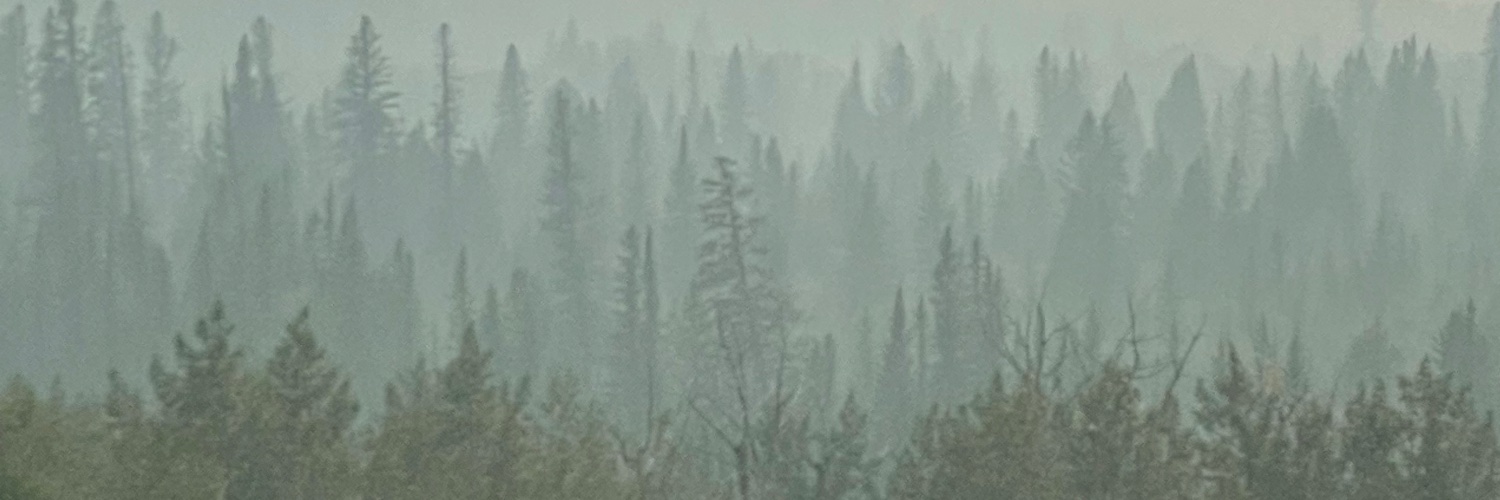 caraes's profile banner image