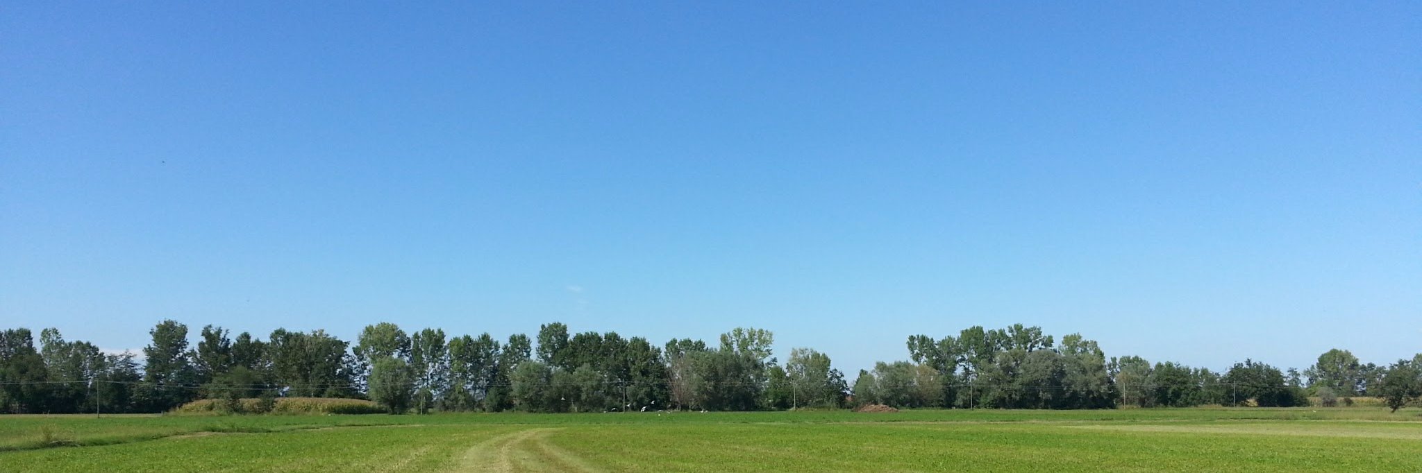 Ivano Bongiovanni banner