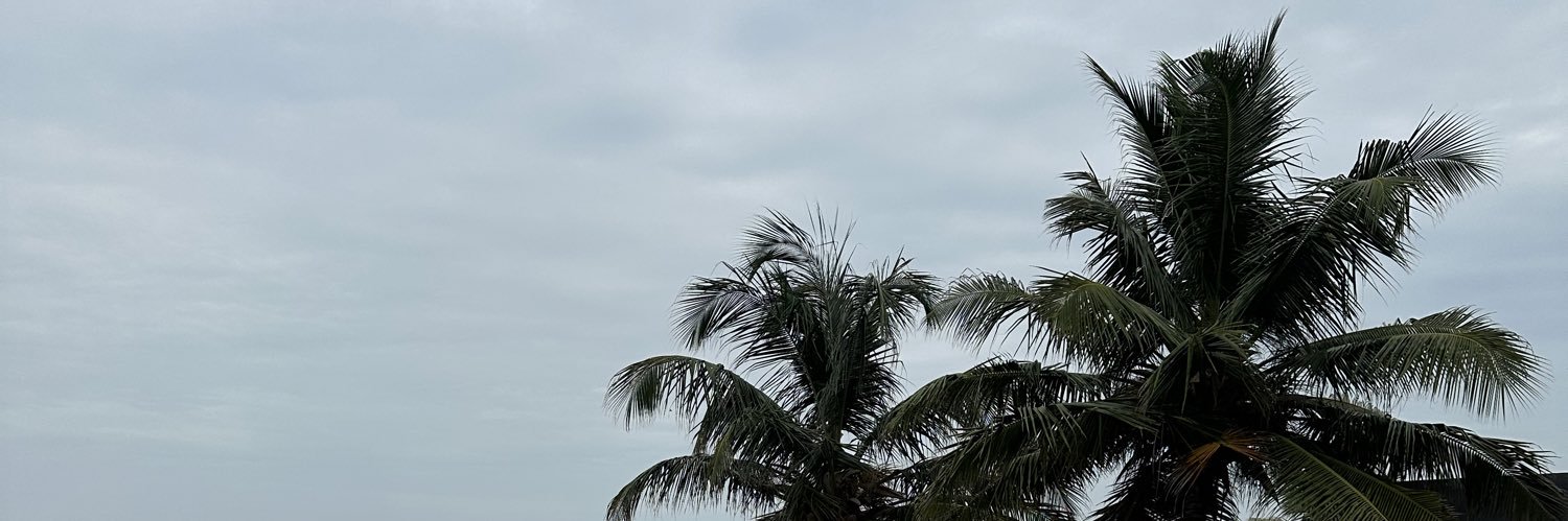 temi__fs's profile banner image