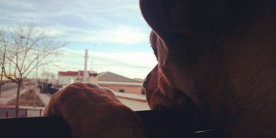 Guillern93's profile banner image