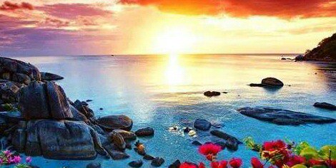 Assamese_lad's profile banner image