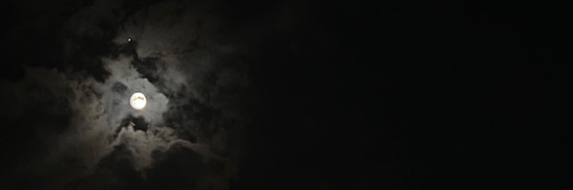 r_dkx's profile banner image