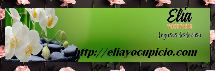 negociosonliner's profile banner image
