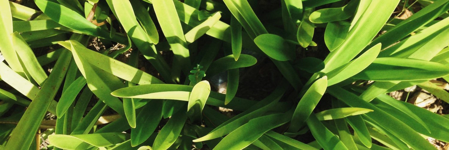 MioDelRo's profile banner image