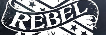 REBEL banner