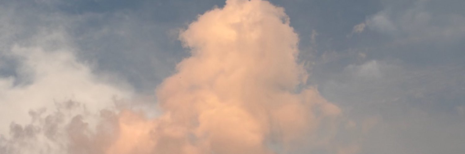 pcnff's profile banner image