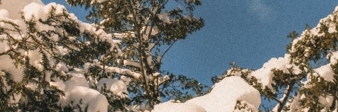 _sagittaire_'s profile banner image
