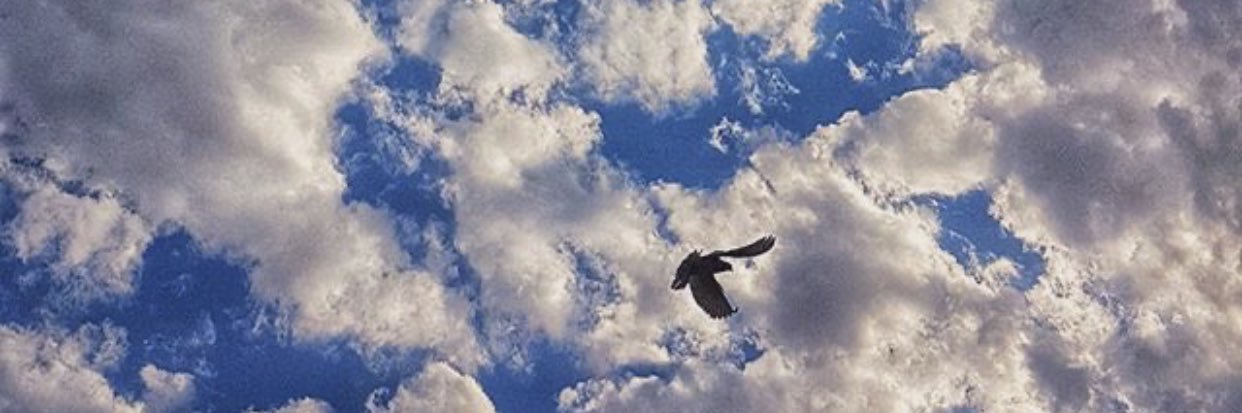 Najool21's profile banner image