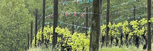 Virginia_Made Profile Banner