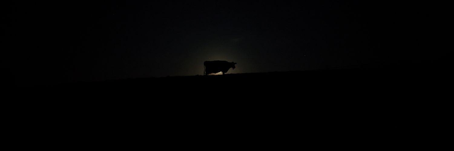 wlII_IIlw's profile banner image