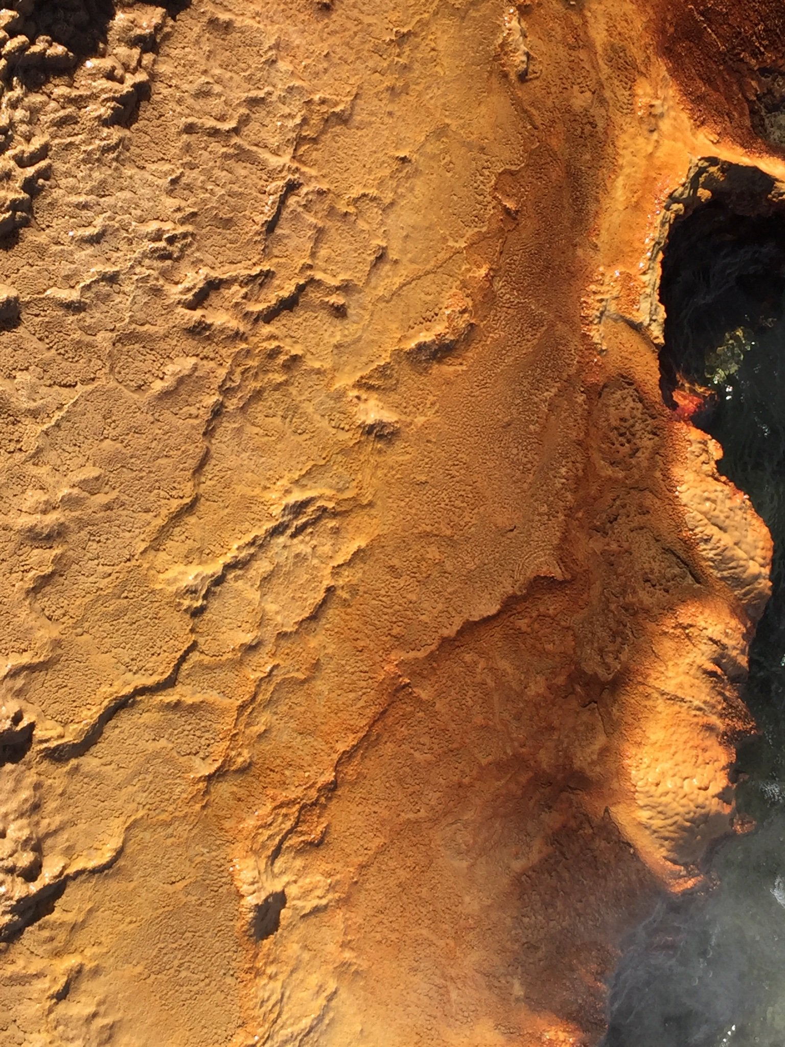 Fernando Barrera Arenas banner