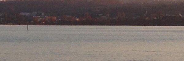 EngelhardtFrank Profile Banner