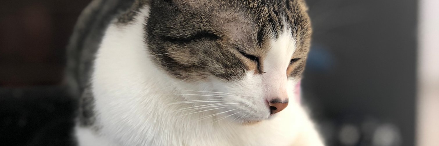 MartinHredil's profile banner image