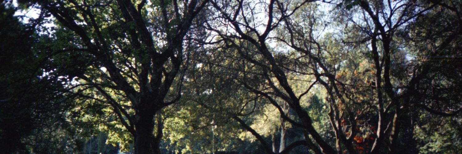 moisescomacento's profile banner image