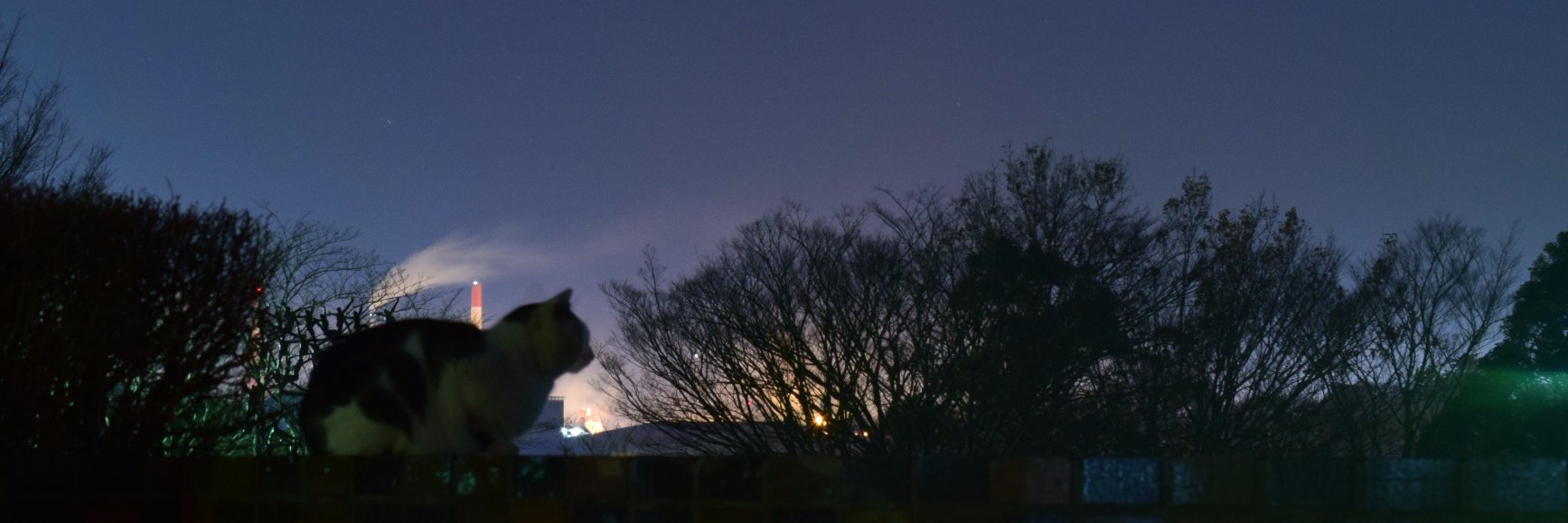 yusuky_'s profile banner image