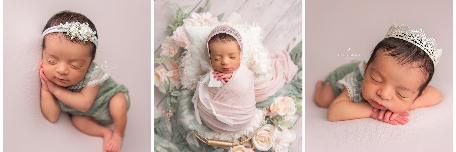 HaleyGrantPhoto's profile banner image