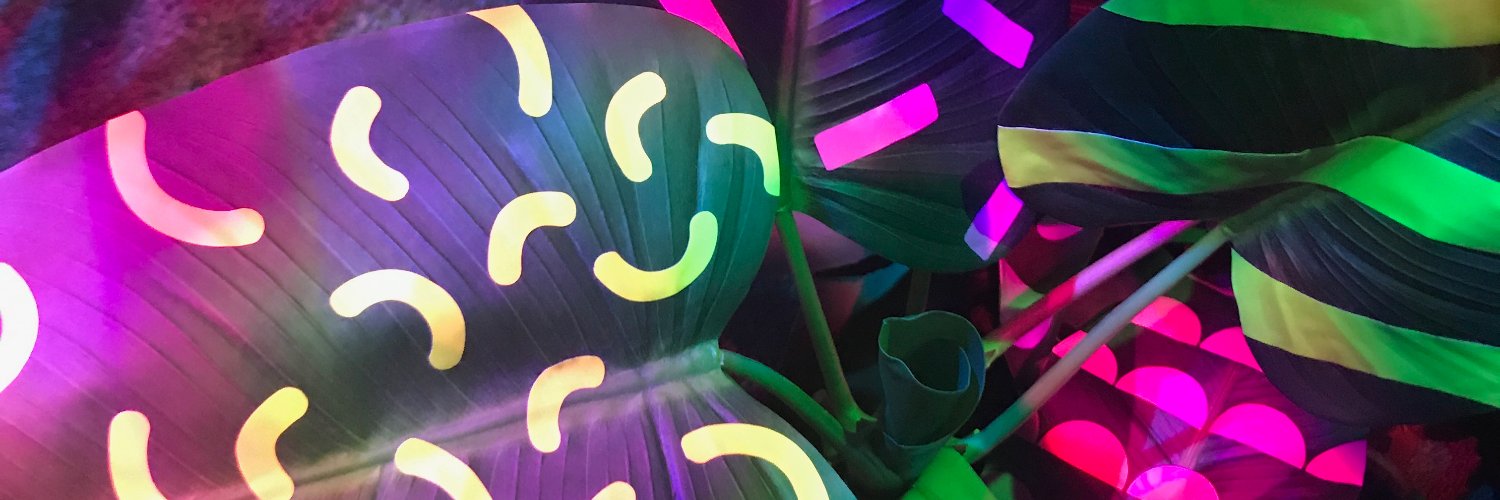 Willy Plummer banner