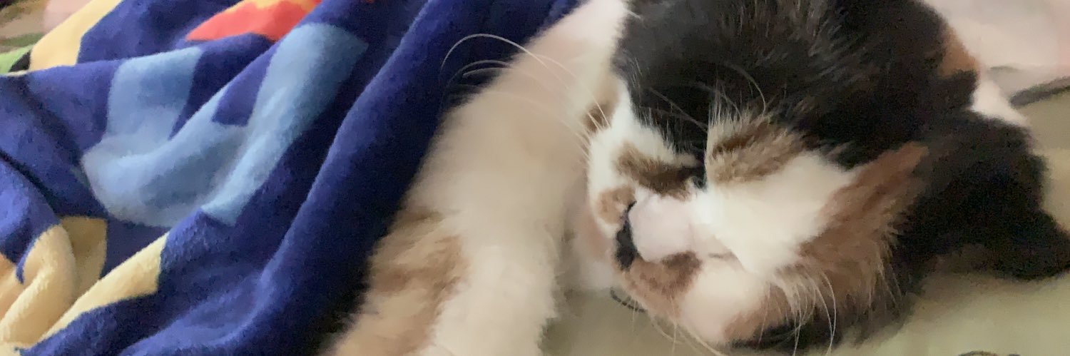 SetiAnisa7's profile banner image