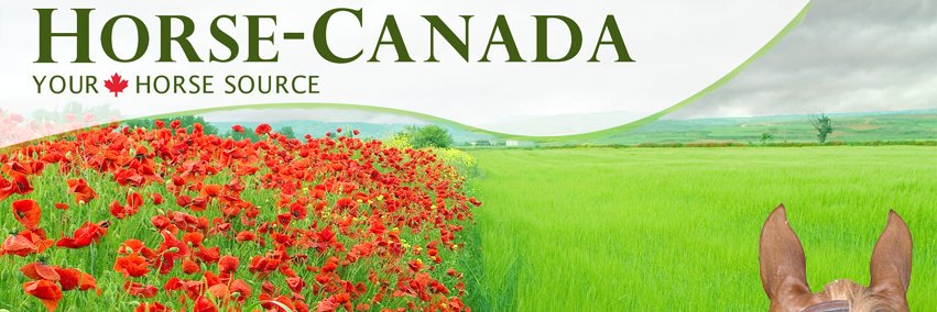 HorseCanada's profile banner image