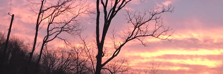 MountainsMartha's profile banner image