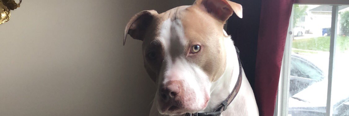 jessitos_'s profile banner image