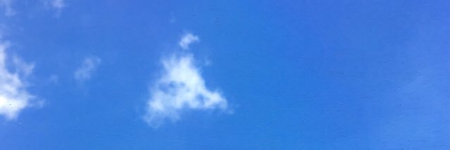 holyshitbrother's profile banner image