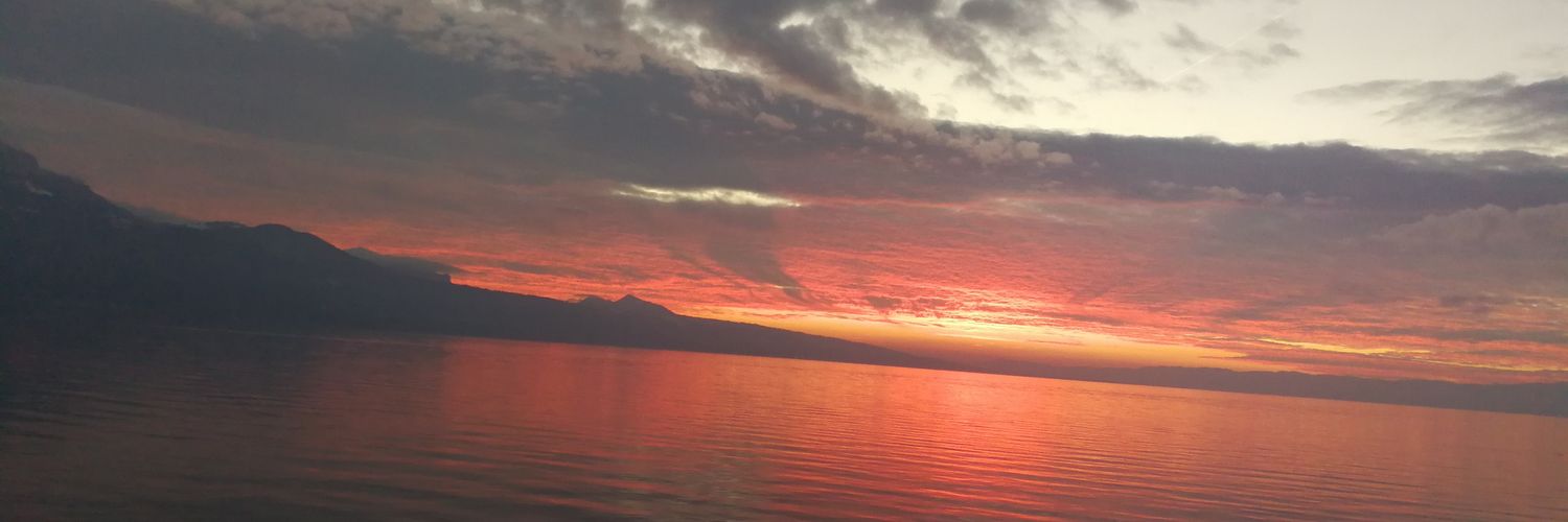 Alba_RPicazo's profile banner image