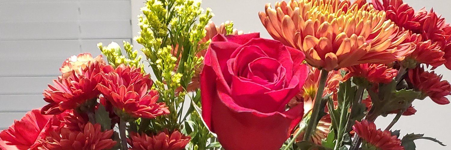 quelsplace's profile banner image