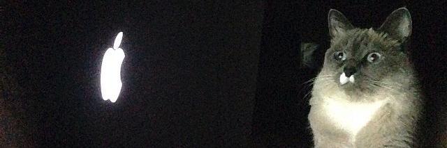 Jay_Skins's profile banner image