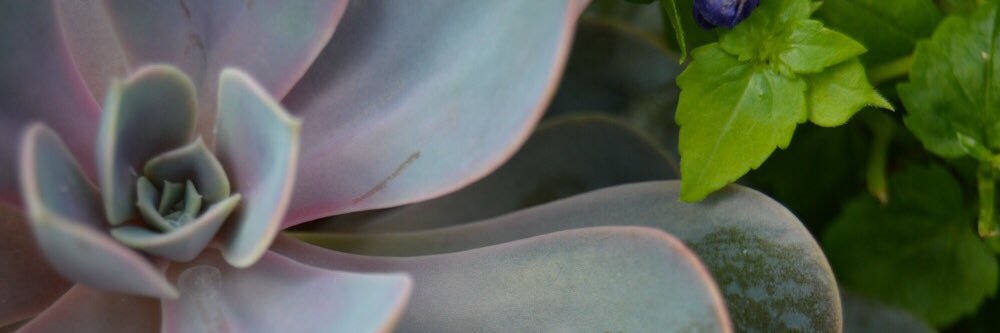 emusm_'s profile banner image