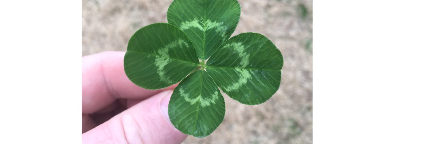 csbray22's profile banner image