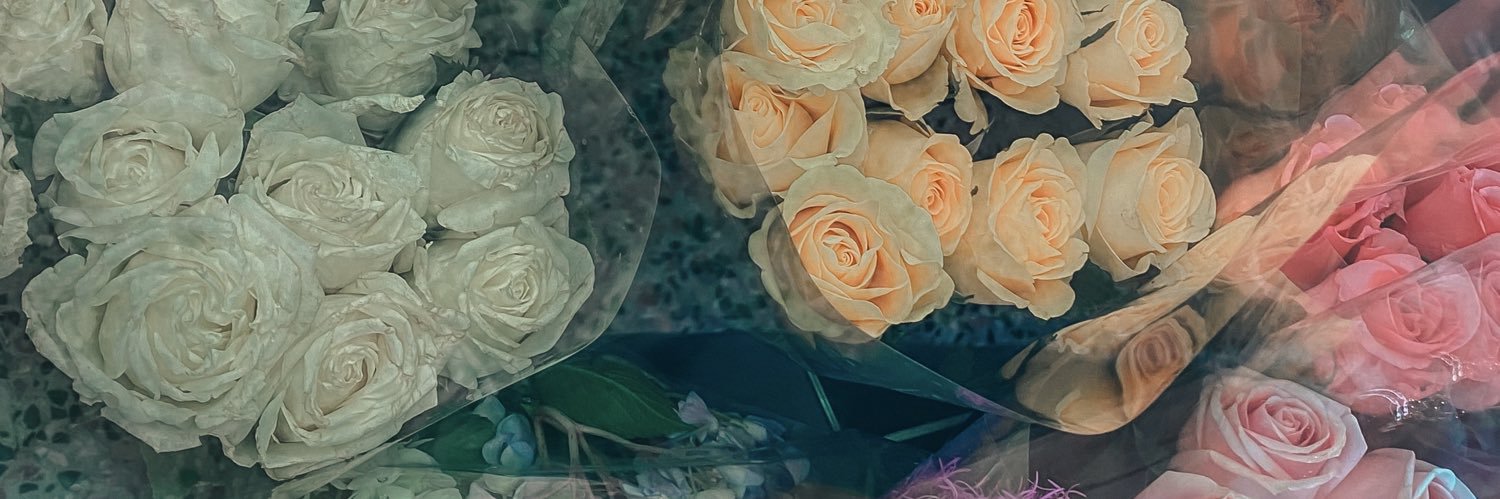 pppppippy's profile banner image