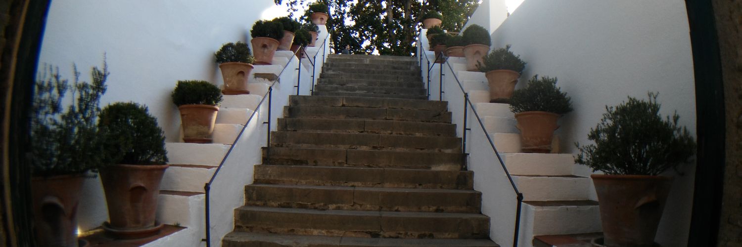 NoeRodgzSant's profile banner image