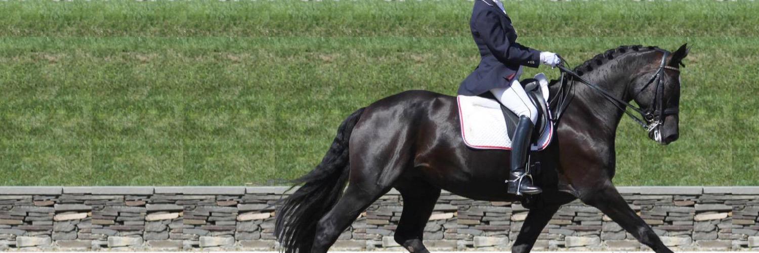NEDADressage's profile banner image