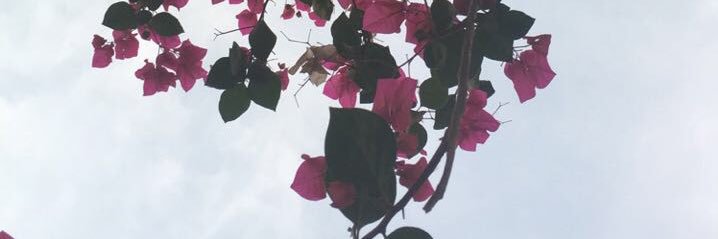 HudaMuqbil's profile banner image