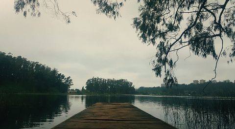 amapolapolar's profile banner image