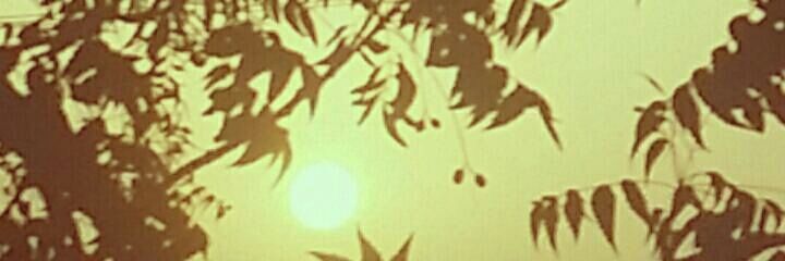 Ta_________aT's profile banner image