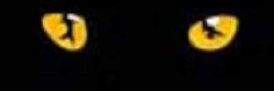 lil_lilith's profile banner image