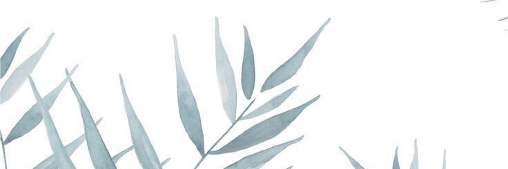 PAULINAGRANADOS's profile banner image
