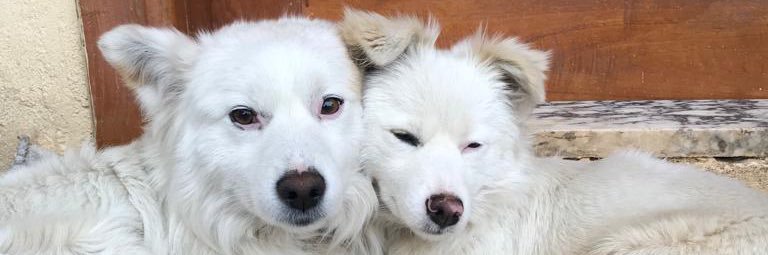 smhhh_'s profile banner image