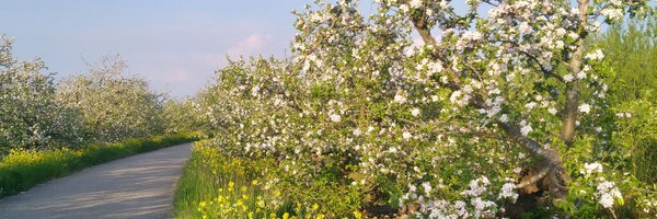 ServaasStoop Profile Banner