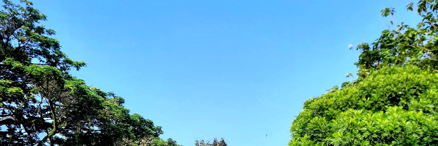 Restalia01's profile banner image