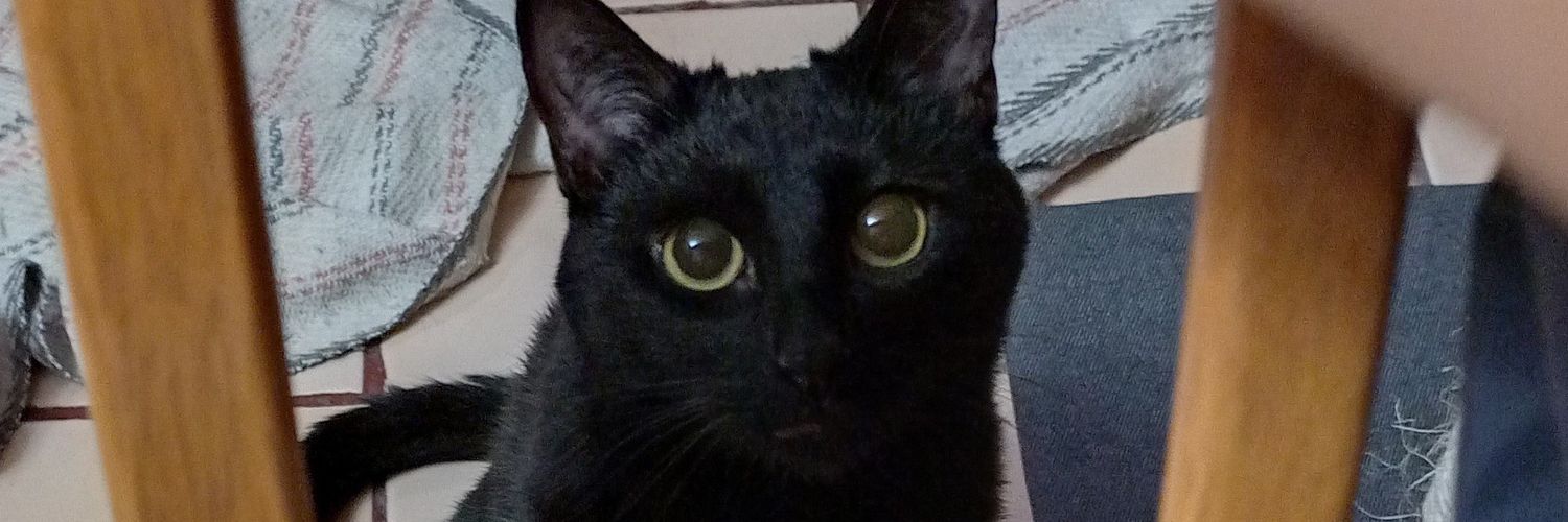 UrbieAngie's profile banner image