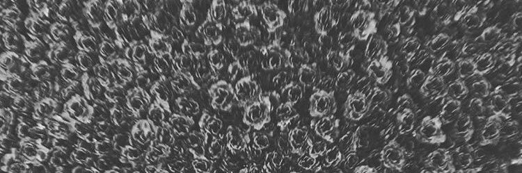 41218m's profile banner image