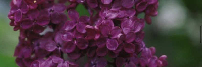 mcbranz's profile banner image