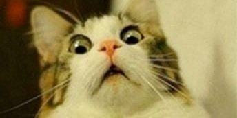 Andrea Davidson banner