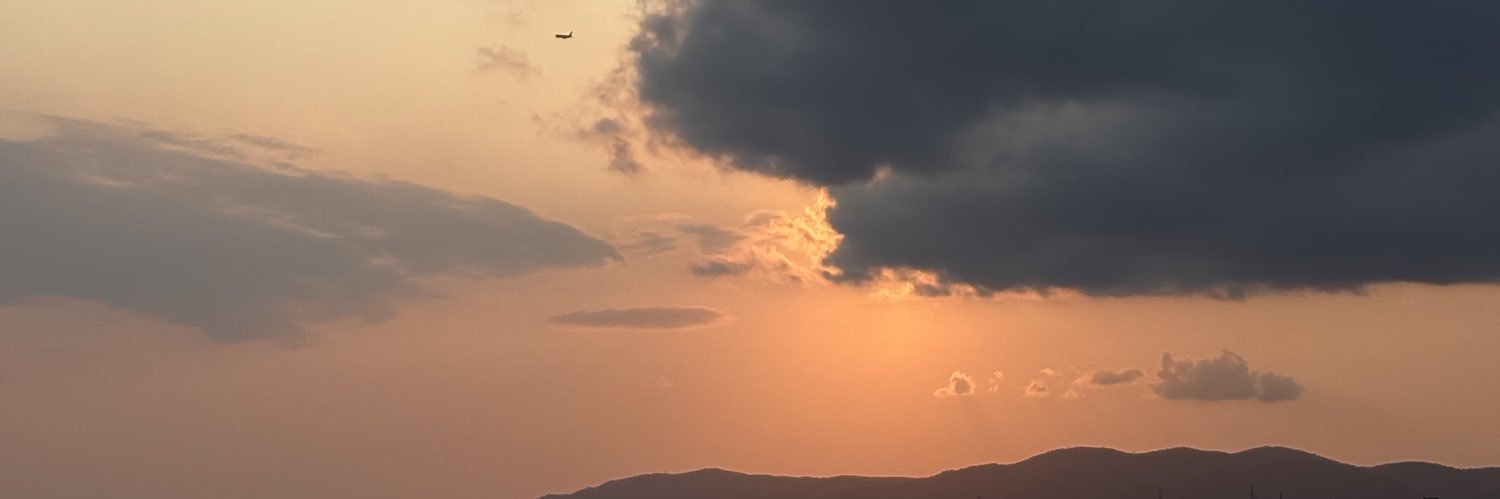 anittarincon's profile banner image
