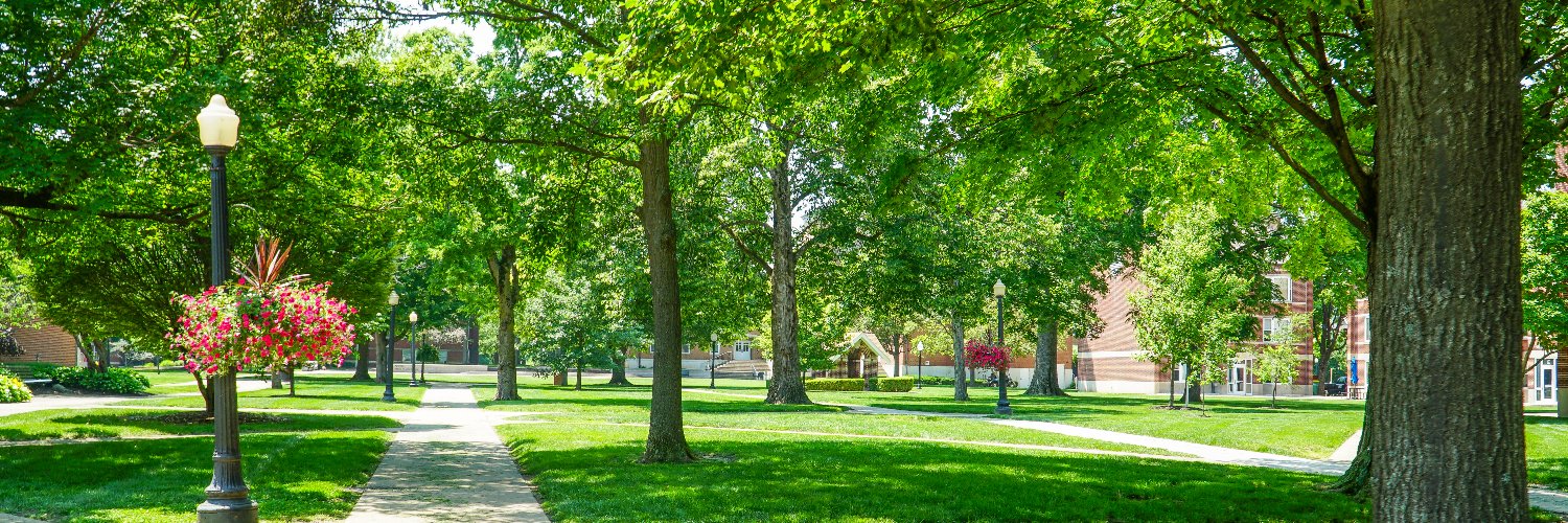 grizalumni's profile banner image